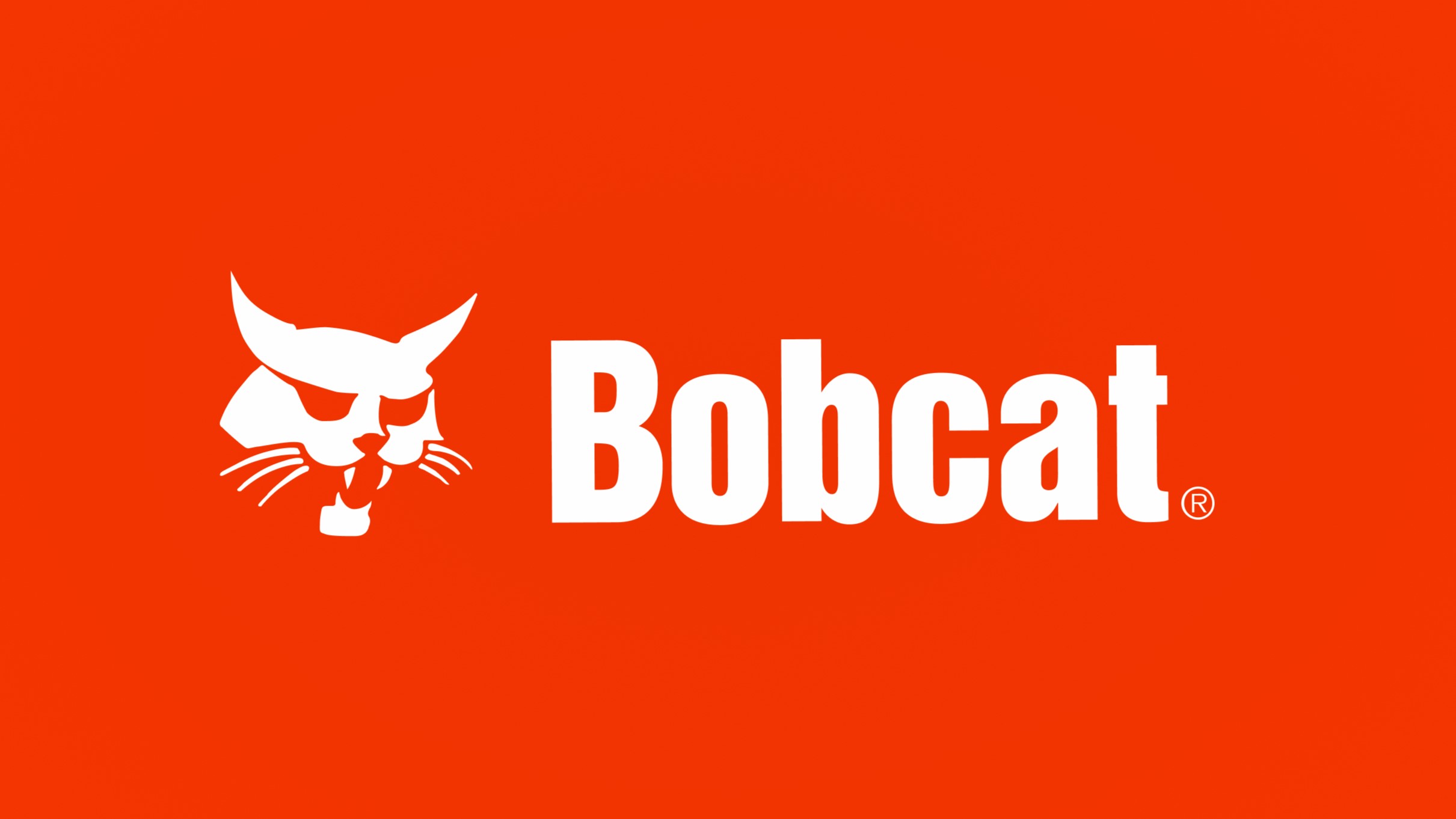 Bobcat