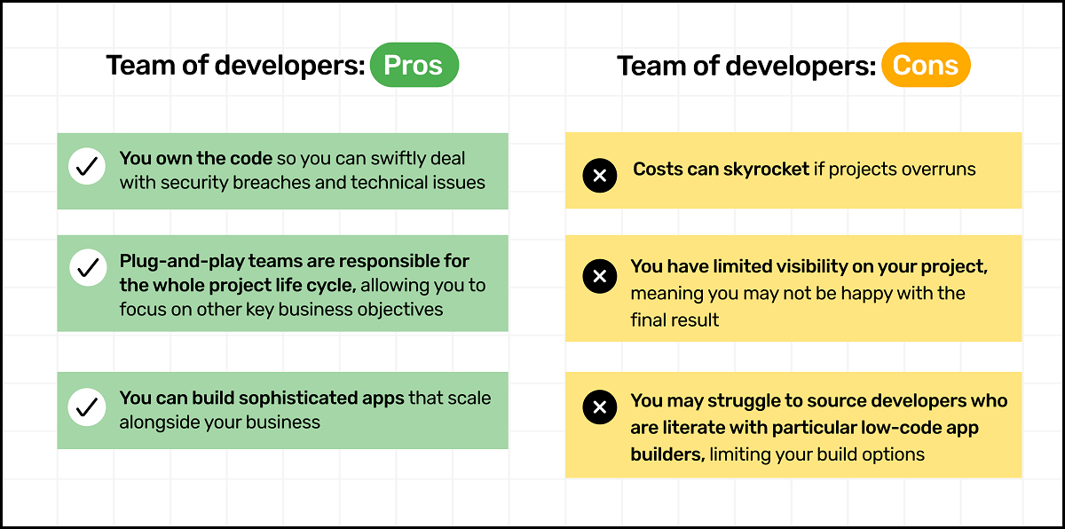 Pros and cons of team of developers